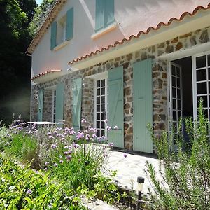 Magnifique Maison Avec Piscine Sans Vis A Vis 4 Chambres Et 1 Mezzanine Dans Un Milieu Verdoyant Сен-Жан-дю-Гар Exterior photo