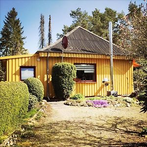 Вілла Gelbes Haus Bei Mardorf Am Steinhuder Meer Rehburg-Loccum Exterior photo