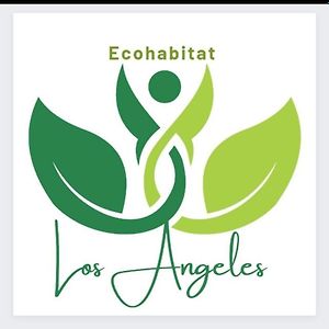 Ecohabitat Los Angeles Cabana Las Marias Chinacota Exterior photo