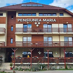 Pensiunea Maria Джилеу Exterior photo