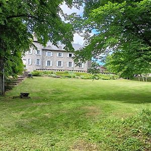 Готель Chateau Ol Puech Вік-сюр-Сер Exterior photo