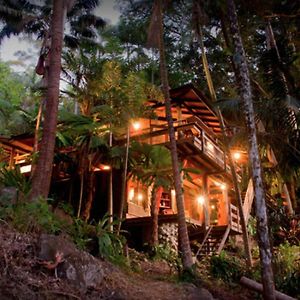 Вілла Currumbin Rainforest Treehouse Currumbin Valley Exterior photo