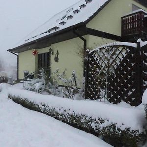 Апартаменти Fewo-Schmidt-Im-Erzgebirge Gelenau Exterior photo