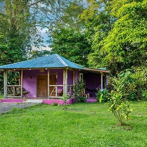 Casa Lavanda In Tropical Jungle Garden Мансанільйо Exterior photo