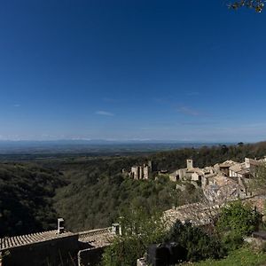 Вілла Chateau Le Camigne, Vue Pyrenees Saissac Exterior photo