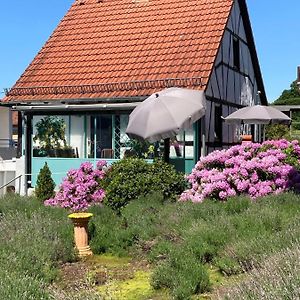 Вілла Ferienhaus Mit Sauna, Wintergarten Und Terrasse Im Schoenen Hochtaunus Гласгюттен Exterior photo