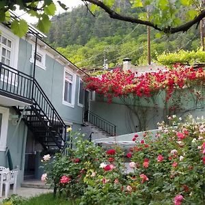 Guest House Green Rose Боржомі Exterior photo