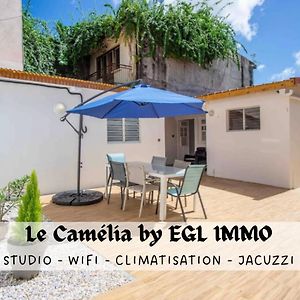 Апартаменти Le Camelia - Gite "Terre Et Truffes" Ле-Ламантен Exterior photo