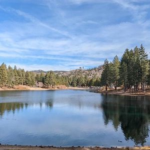 Вілла Hidden Jewel Of San Bernardino Mountains Green Valley Lake Exterior photo