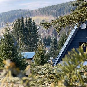 Kleines Chalet Im Erzgebirge Mit Sauna Und Kamin Rechenberg-Bienenmuhle Exterior photo