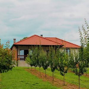 Villa Sladjana Младеновац Exterior photo