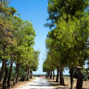 Bed and Breakfast Masseria San Paolo Саліче-Салентино Exterior photo