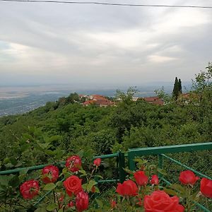 Guesthouse Kiko Сігнагі Exterior photo