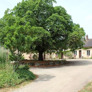 Gite Des Etangs De Beaulieu Le Plessis-Dorin Exterior photo