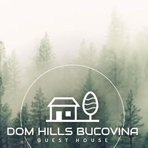 Готель Dom Hills Bucovina Ґурагумора Exterior photo