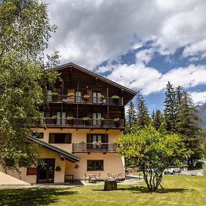 Alpine Forest Hotel Шамполюк Exterior photo