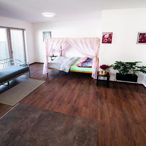 Апартаменти Glam Apartman Bucovice Exterior photo