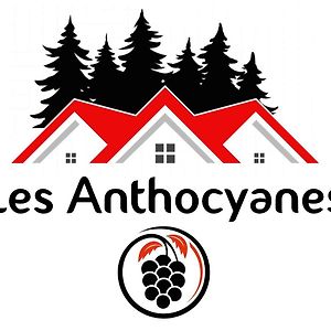 Готель Les Anthocyanes Chambre Foret Champagny Exterior photo