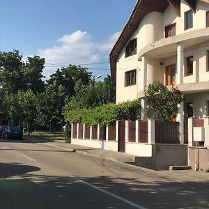 Апартаменти Casa Stefan Дробета-Турну-Северин Exterior photo