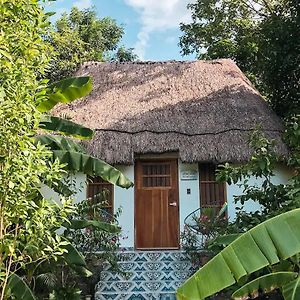 Hotel Boutique Cenote San Ignacio Меріда Exterior photo