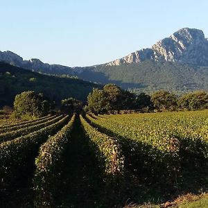 Вілла Gite Entre Cevennes Et Mediterranee Cazilhac  Exterior photo