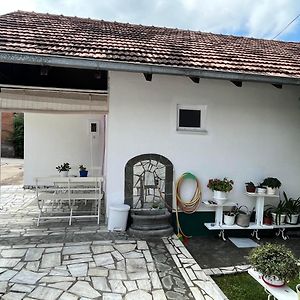 Готель Smestaj Pejcic Kovanluk Exterior photo