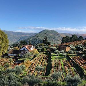 Готель Quinta Vila Rachel - Winery Sao Mamede de Ribatua Exterior photo