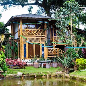 Готель Casa Del Arbol, Romantico, Piscina, En Chinauta, El Mejor Clima El Michu Exterior photo