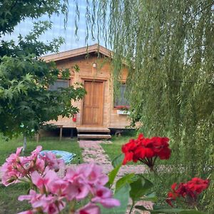 Bed and Breakfast Inlice Uenzile Bungalow Inlice Kamp Фетхіє Exterior photo