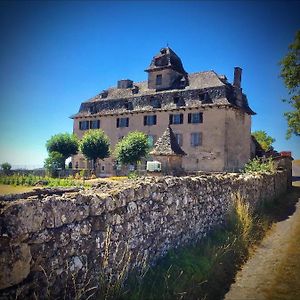 Bed and Breakfast Chateau De Cours Senezergues Exterior photo