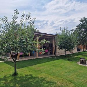 Bed and Breakfast Casuta De Vacanta Danut&Erin Тиргу-Жіу Exterior photo