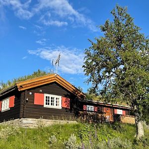 Вілла Elveseter - Log Cabin With An Amazing View Lunde  Exterior photo