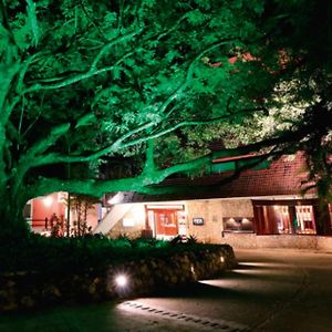 Hotel Mision Palenque Spa Exterior photo