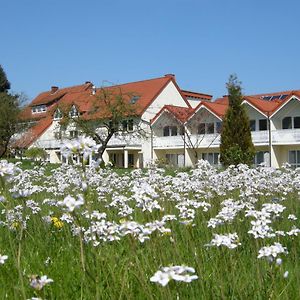 Готель Gaestehaus Steker Бад-Дрібург Exterior photo