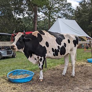 Rooterville Animal Sanctuary Melrose Exterior photo