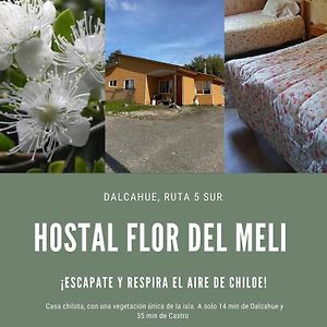 Bed and Breakfast Hostal Flor Del Meli Далькауе Exterior photo