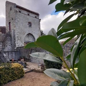 La Maison Du Prince De Conde Charroux-d'Allier Exterior photo