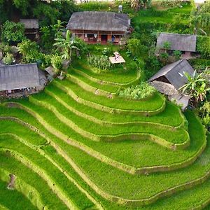 My'S Homestay Sapa Exterior photo