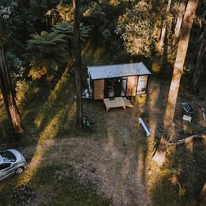 Вілла Quantum Field By Tiny Away Toolangi Exterior photo