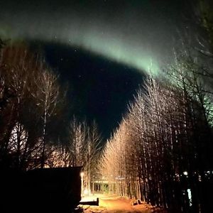 Апартаменти Audkula Dome Cabin Гелла Exterior photo