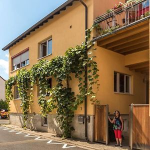 Апартаменти Unter Den Reben Niederkirchen bei Deidesheim Exterior photo