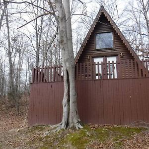 Вілла A-Frame Cabin #4 On Patoka Lake In Southern Indiana Мітчелл Exterior photo