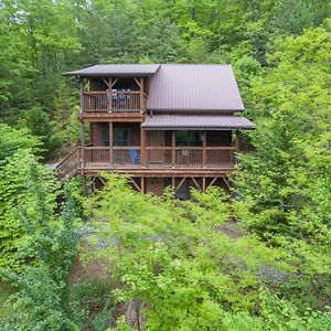 Firefly Lodge Private Log Cabin With Mountain Views! Блек-Маунтін Exterior photo