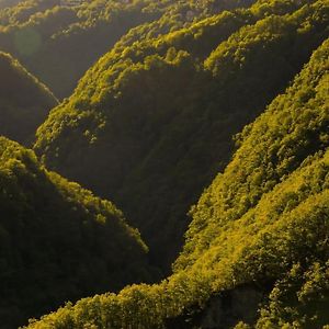 Апартаменти Wild Valley Ticino Vista In Valle Onsernone Auressio Exterior photo