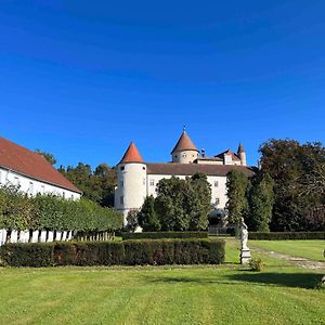 Вілла Charming Castle In Austria Schwertberg Exterior photo