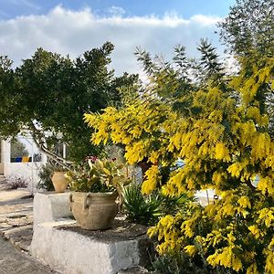 Готель Syconium Trullo And Lamia Gea Charme And History Остуні Exterior photo