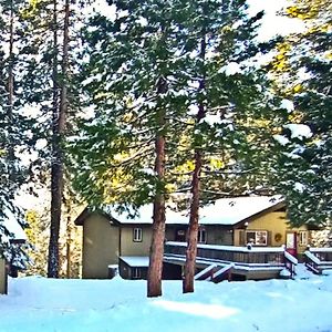 Вілла Cedar Ridge Retreat Lake Almanor Exterior photo