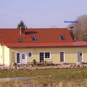 Готель Gaeste-Zimmer Am Elberadweg Damnatz Exterior photo