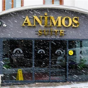 Animos Butik Otel Анкара Exterior photo