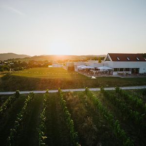 Готель Weinblick & Weingut Grafinger Senftenberg Exterior photo